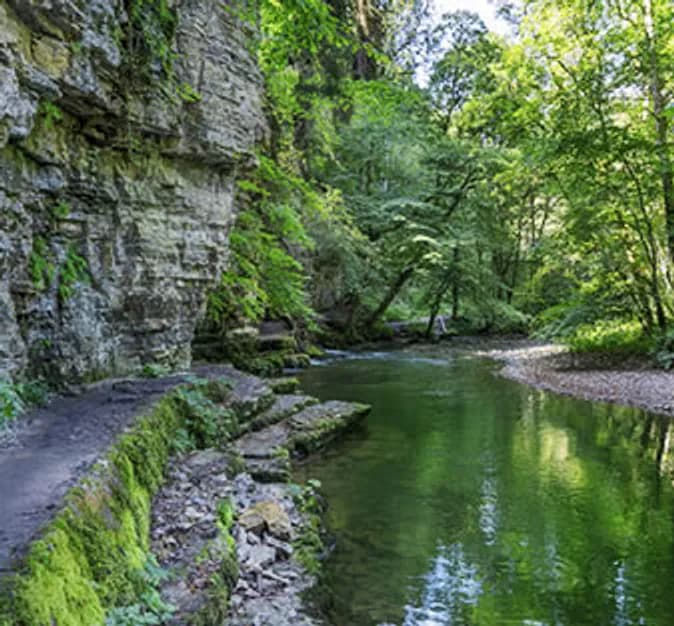 Türkisgrünes Wasser der Wutach zwischen hohen Felswänden und dichtem Grün